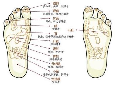 http://m.zhuird.cn/